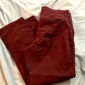 Lee size 16 short straight leg mid rise pants